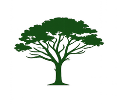 alberi alto fusto